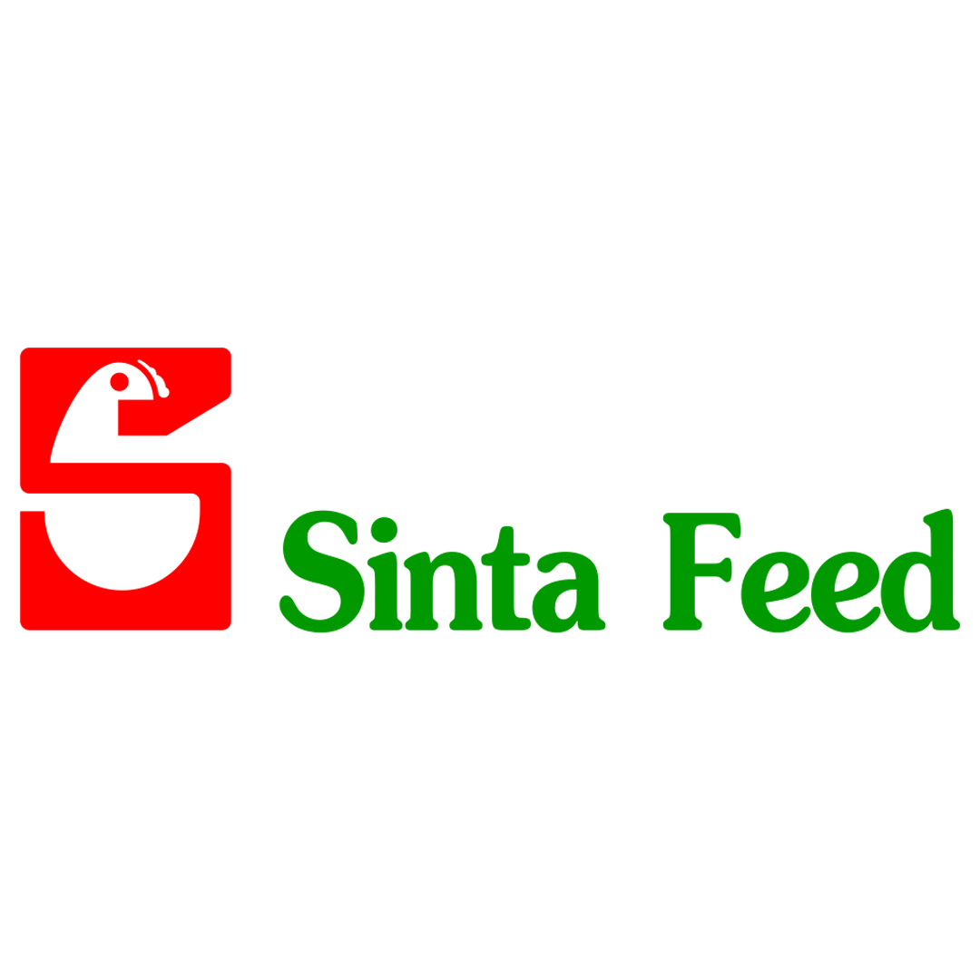 sinta feed